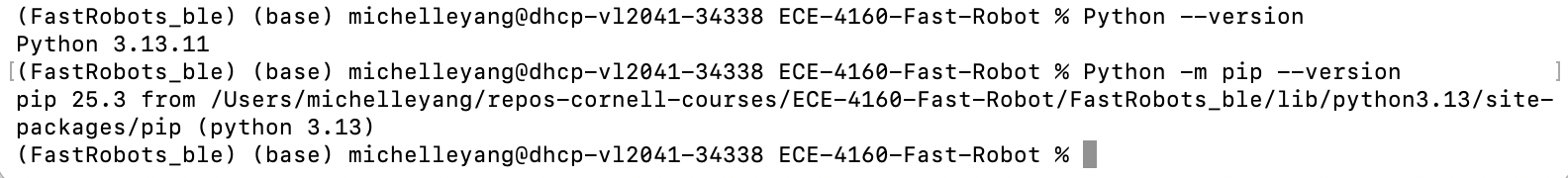 Checking version of Python and pip